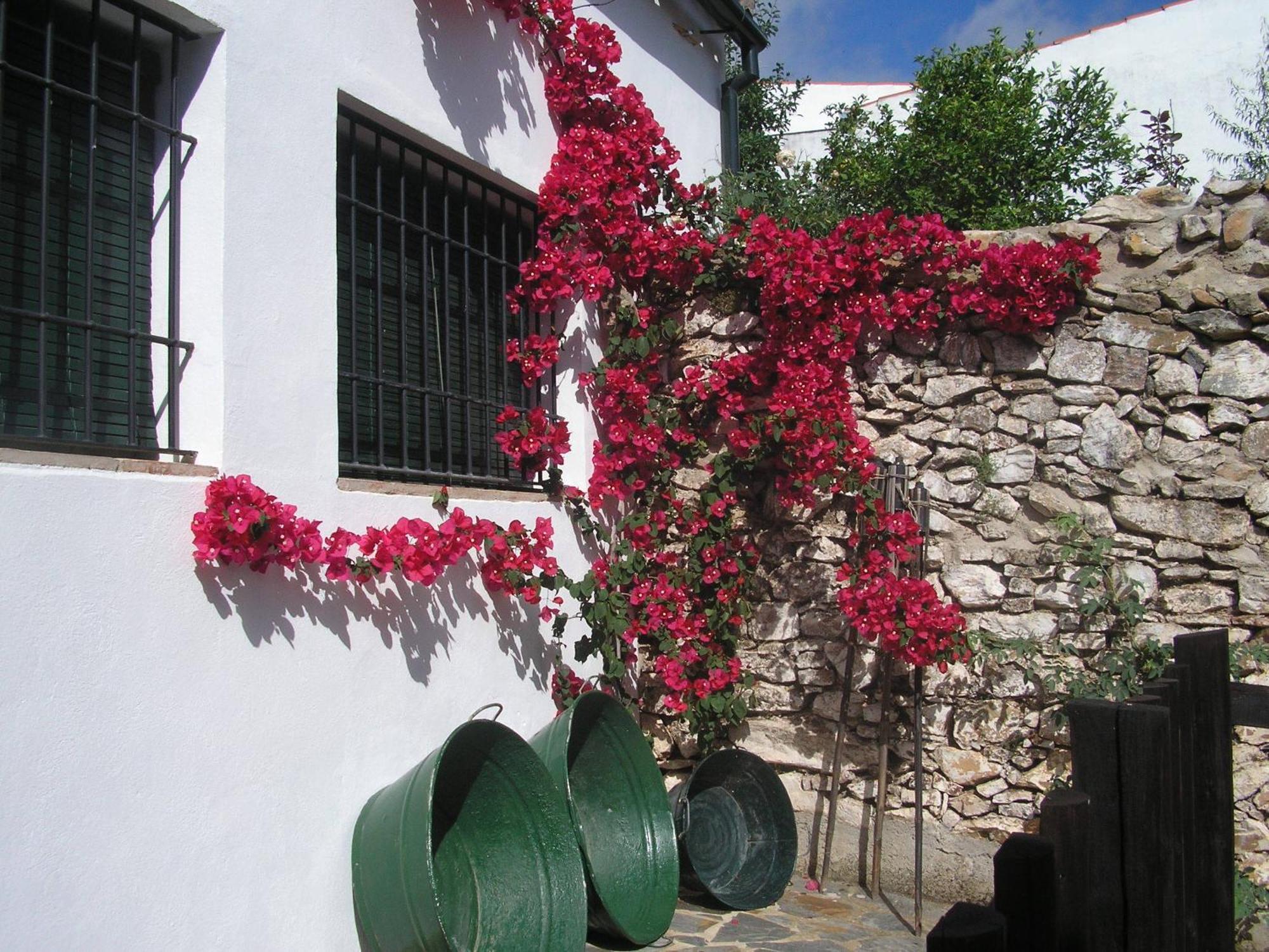 Casa Rural Y Restaurante Casa Adriano Guest House Alanís Exterior foto